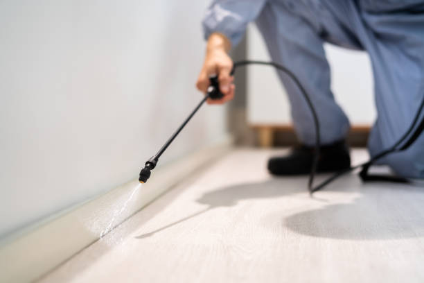 Licensed Rodent Control service in Waverly, NY - Nex Pest Control