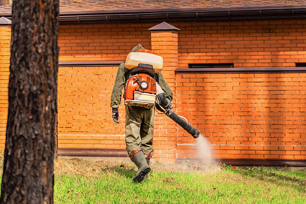 Trusted Rodent Control service in Waverly, NY - Nex Pest Control